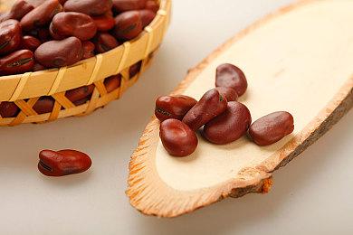 中国风开放世界动作RPG《烽火与炊烟》公布 2024年Q4发售